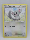 Minccino