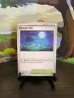Moonlit Hill