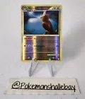Noctowl