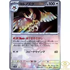 Noctowl