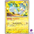 Pachirisu
