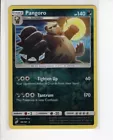 Pangoro