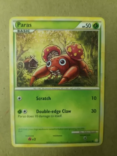 Paras