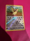 Pidgey