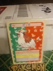 Pidgey