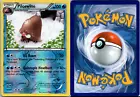 Piloswine