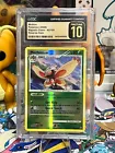 Mothim