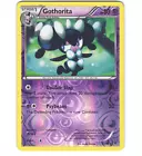 Gothorita