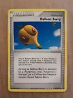 Balloon Berry