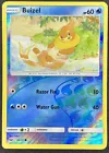 Buizel