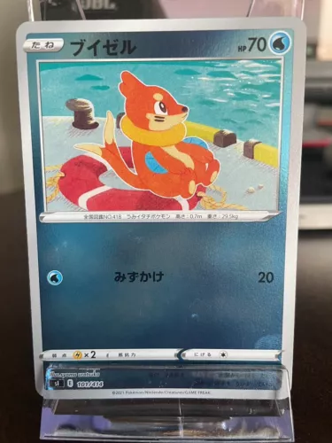 Buizel