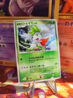 Shaymin