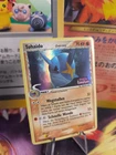 Sharpedo