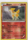 Ponyta