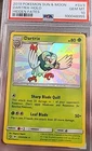 Dartrix