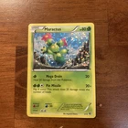Maractus