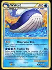 Wailord