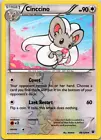 Cinccino