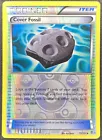 Cover Fossil