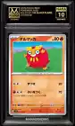 Darumaka
