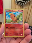 Torchic