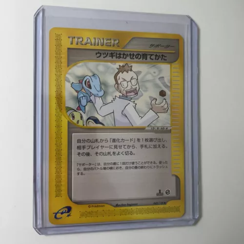Professor Elm's Training Method