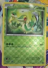 Snivy