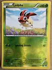 Ledyba