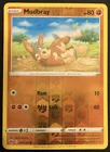 Mudbray