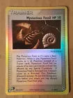 Mysterious Fossil