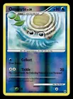 Omanyte