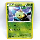 Turtwig