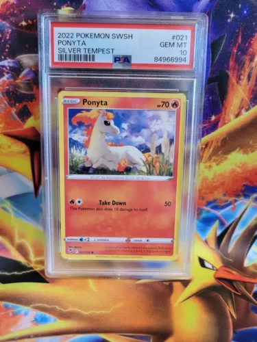 Ponyta