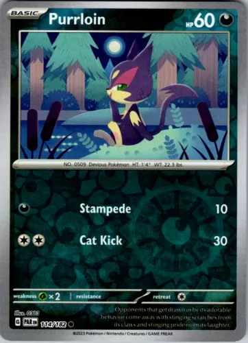 Purrloin