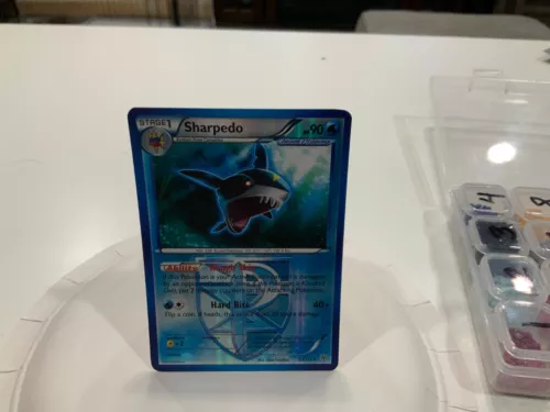 Sharpedo