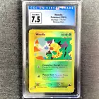 Weedle