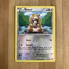 Bidoof