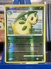 Bayleef