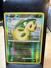 Bayleef