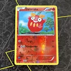 Darumaka