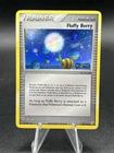 Fluffy Berry