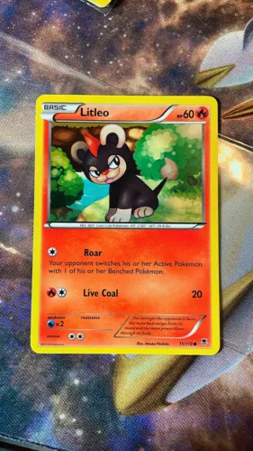 Litleo