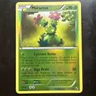 Maractus