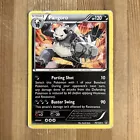 Pangoro