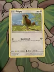 Pidgey