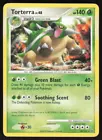 Torterra
