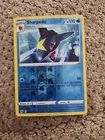 Sharpedo
