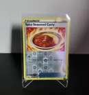 Spicy Seasoned Curry