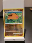 Swinub