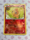 Torchic